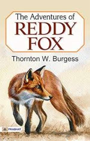 The Adventures of Reddy Fox